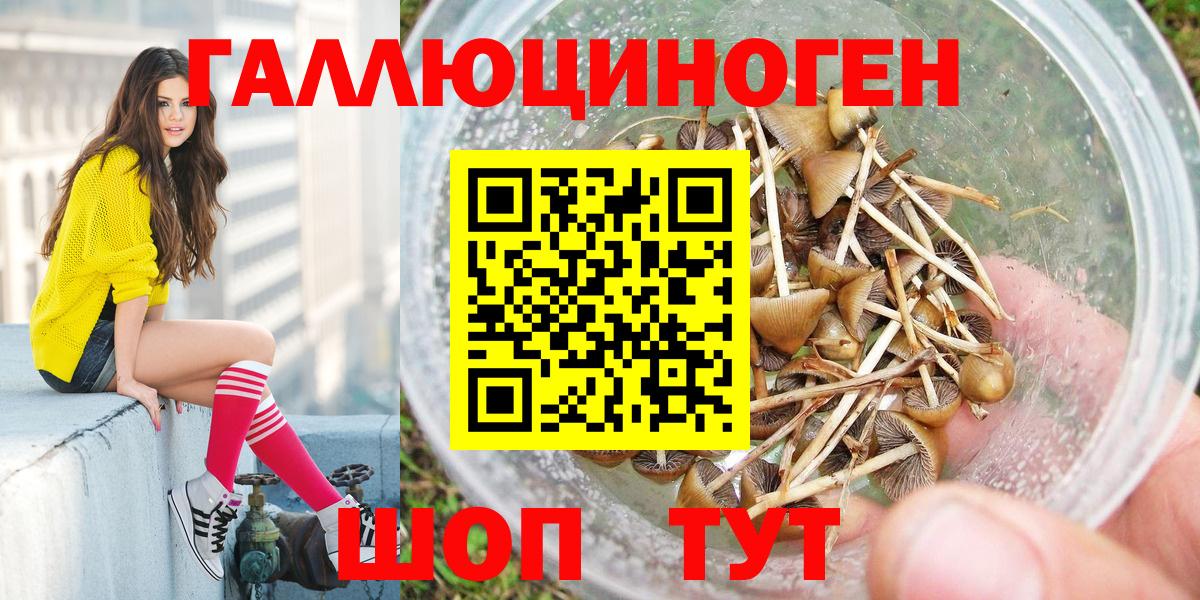 Чайковский  Псилоцибиновые грибы MAGIC MUSHROOMS  Вход с VPN 