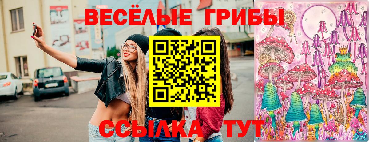 Галлюциногенные грибы ЛСД Чайковский
